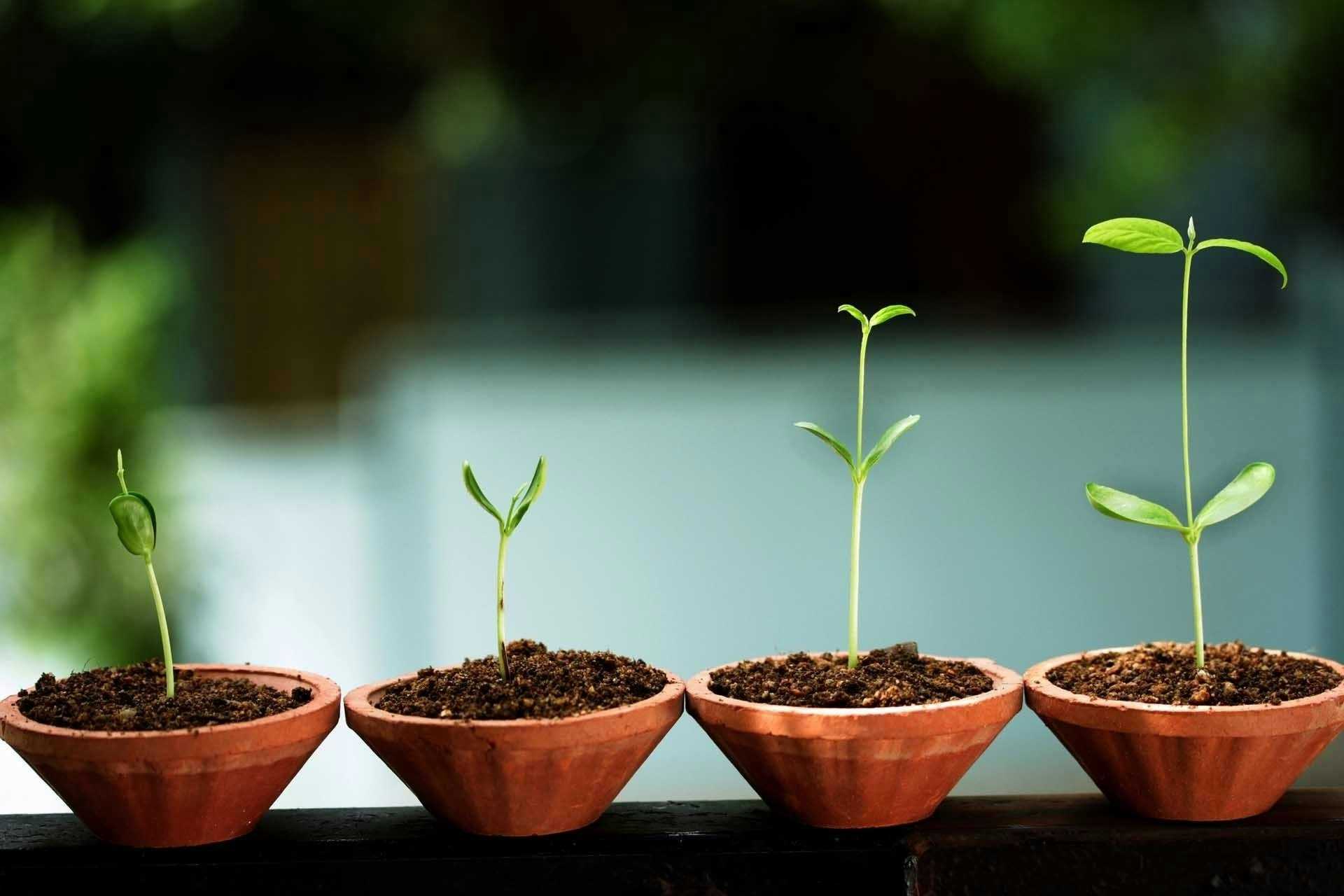 The Art of Valuing Startup Companies: the Quantitative and Qualitative Approaches 