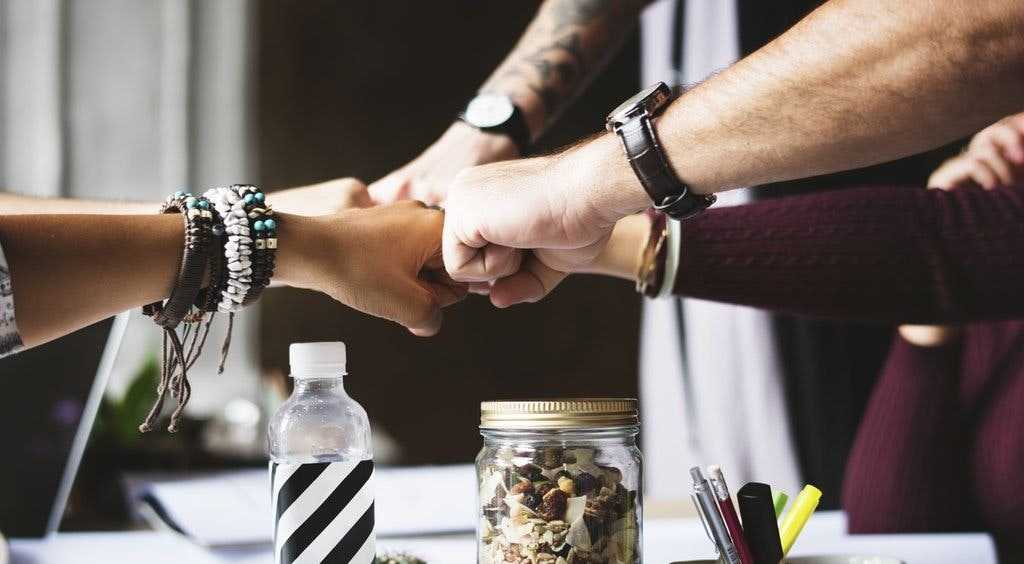 Successful Crowdfund Case Study: the Next Generation Career Path Software
