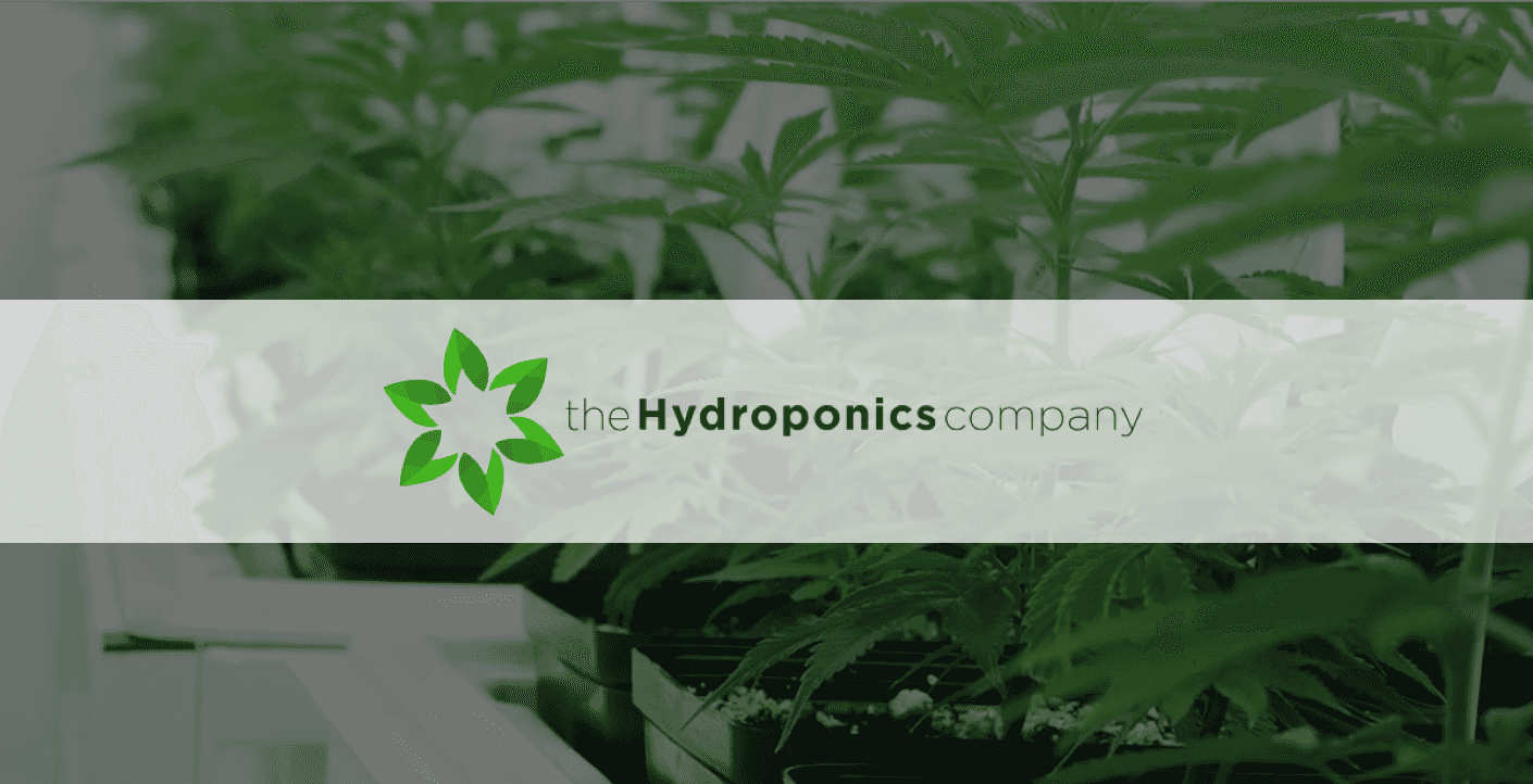 Successful Crowdfund Case Study: THC Limited